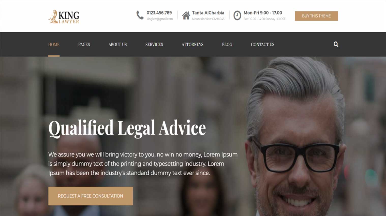 Lawyer Website Template 6
