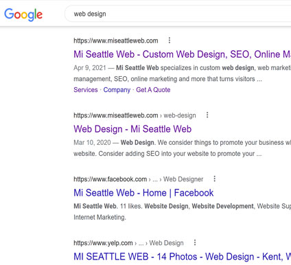 google display top google website design services mi seattle web